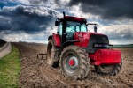 Farm to Table