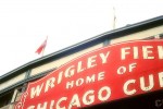 cubs