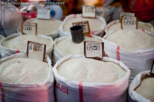 Cities Insecure: Urban Poor in Times of Rising Food Prices