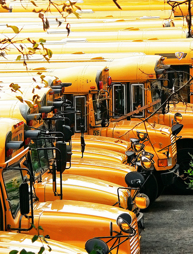 Pulling the Purse Strings: Choice and Competition in Public Schools