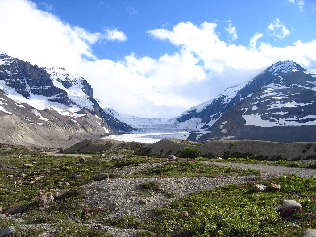 Heat and Anxiety:  What’s Next for International Climate Change Negotiations?