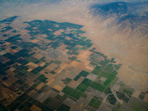 The Green Space Chase: Property Values in Arid Climates