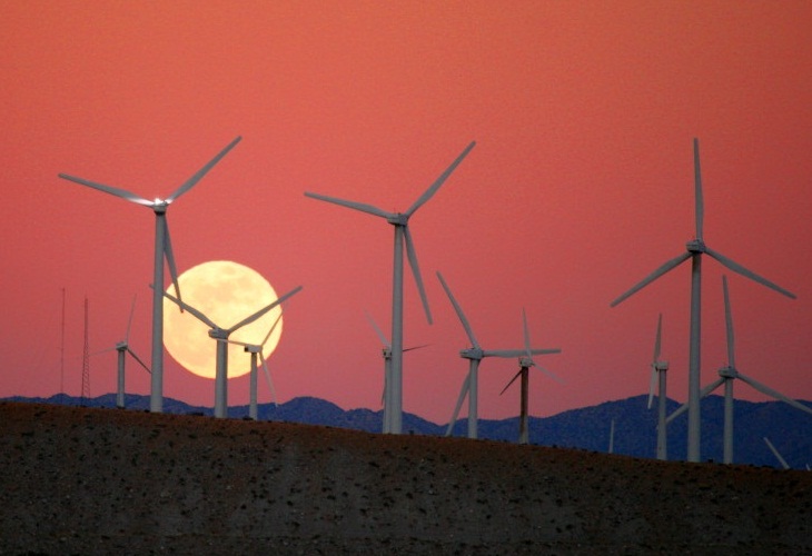 Does Taxing Carbon Level the Playing Field for Wind Power?
