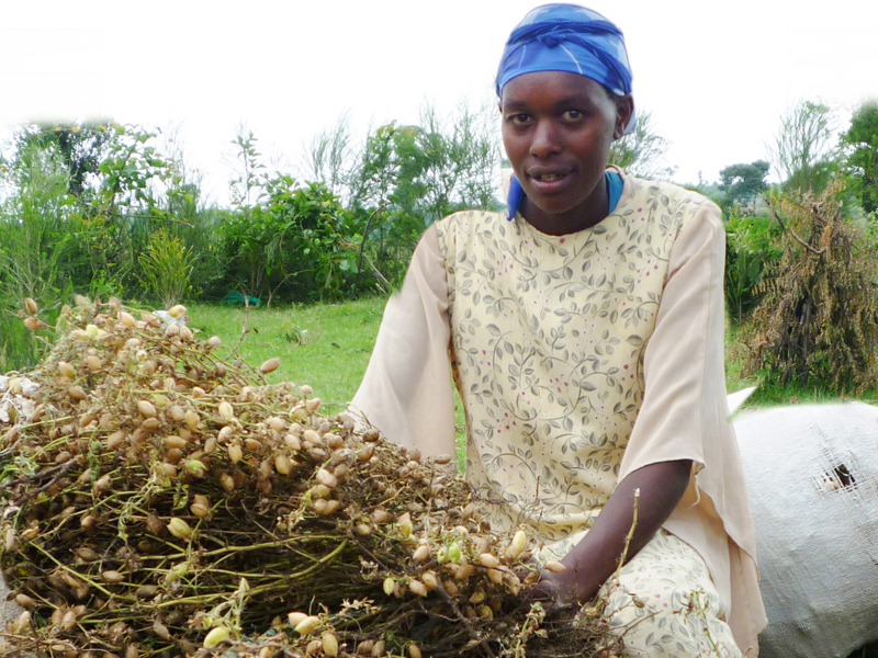 Closing the Gender Gap in Agricultural Productivity