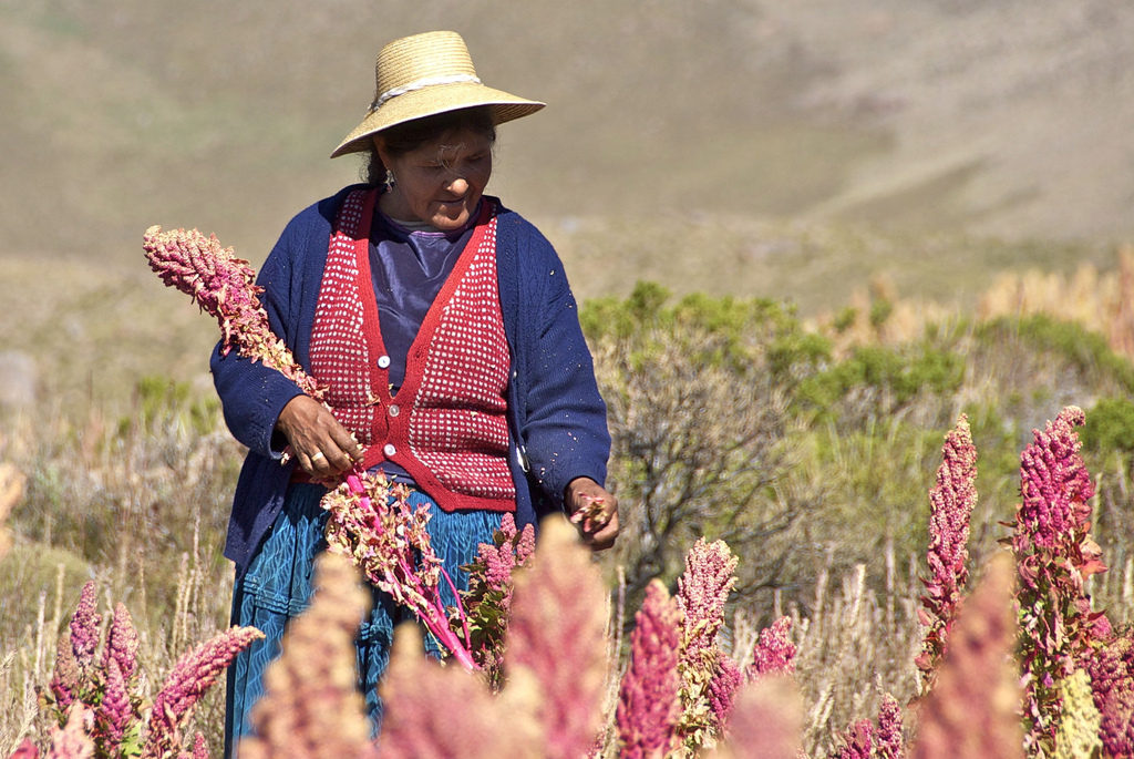 Food Security in an Increasingly Urban World: The Case of Bolivia