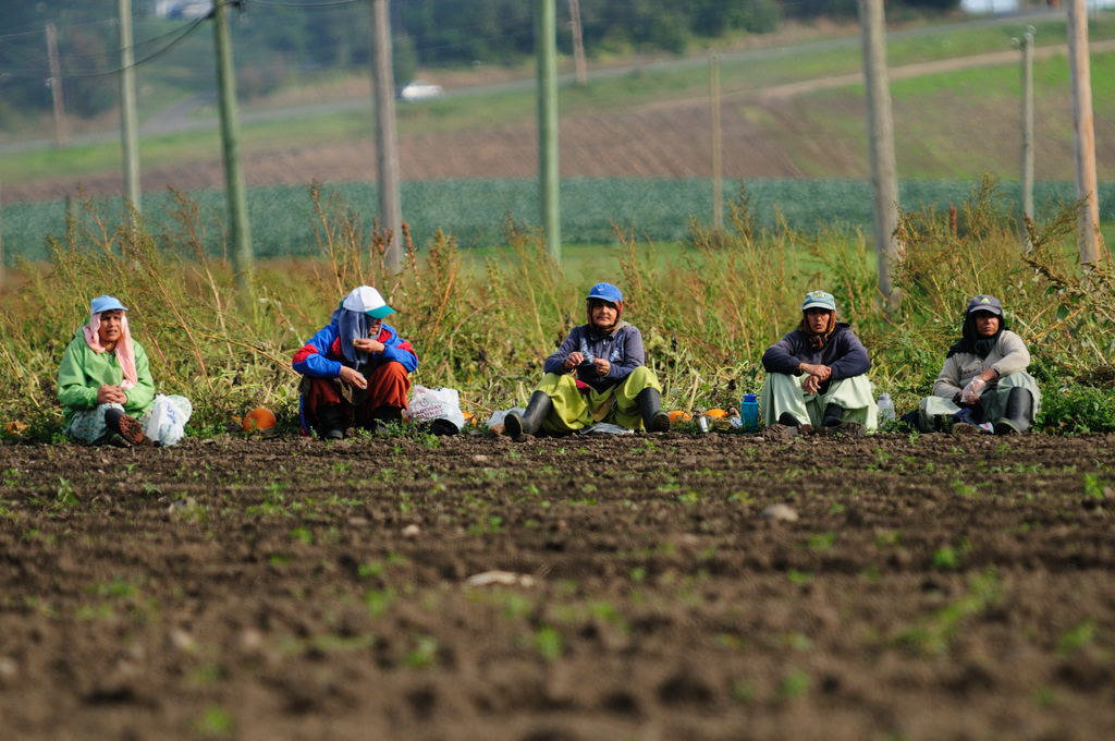 Increased Immigration Leading to Higher Wages for Native Born Citizens?