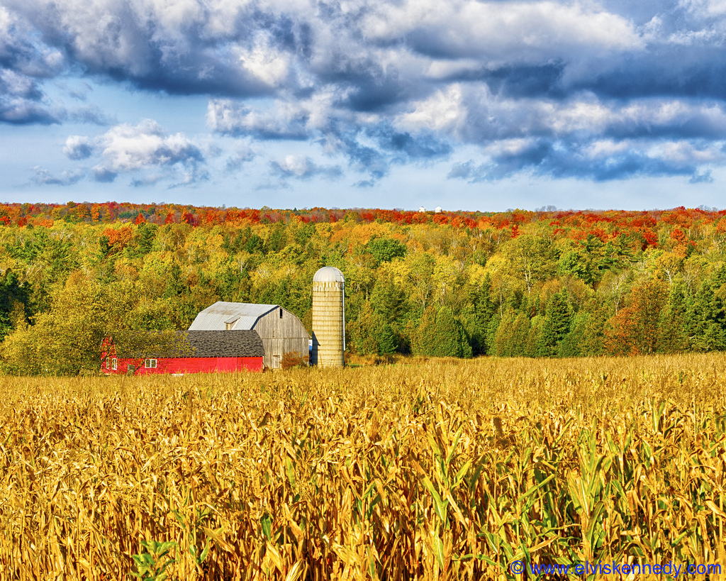 Ethanol’s Mixed Benefits and Crippling Costs