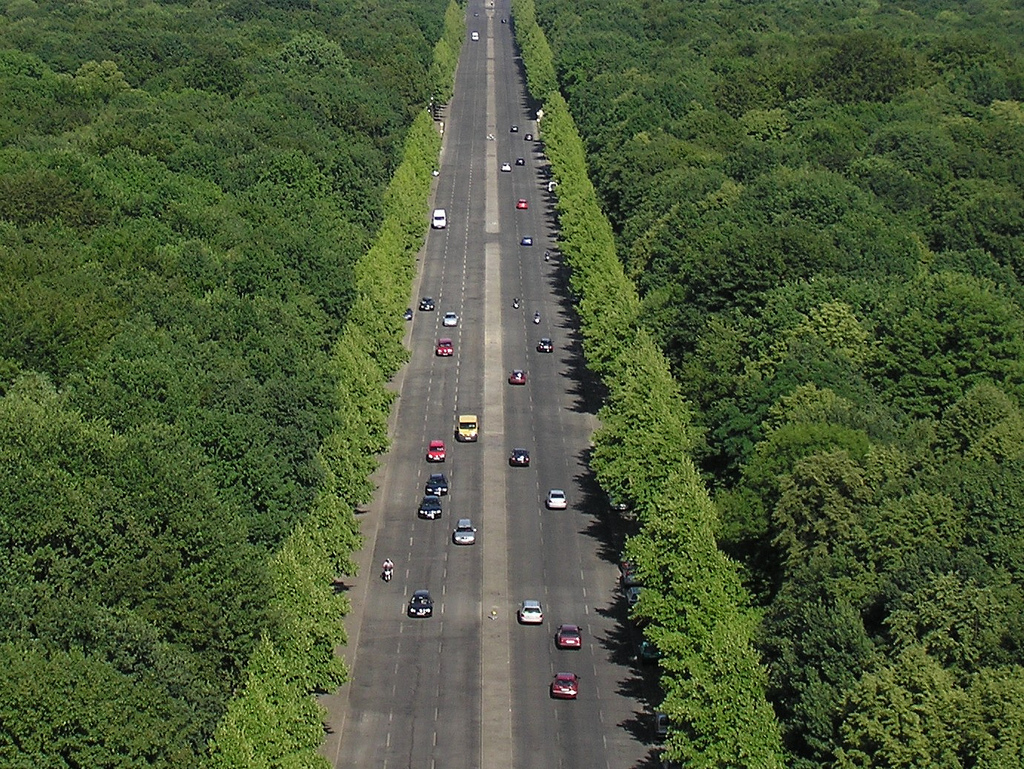 Flipping the Script on What Causes City Green Initiatives