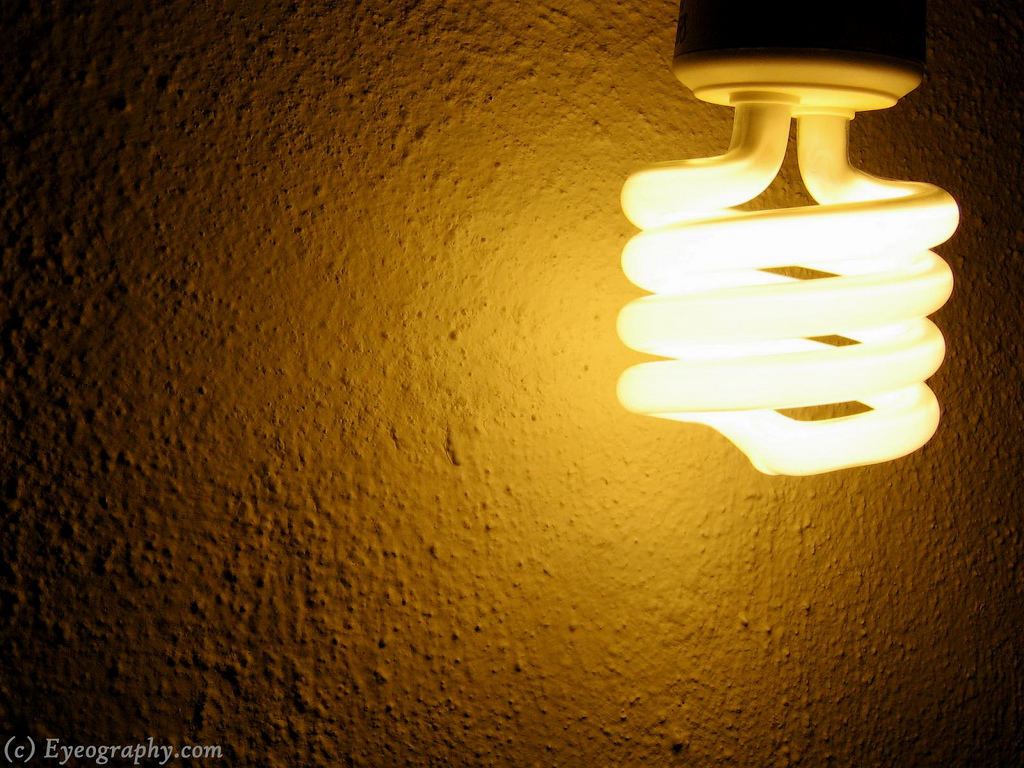 Discounting Energy Savings: Lessons from Incandescent Light Bulbs