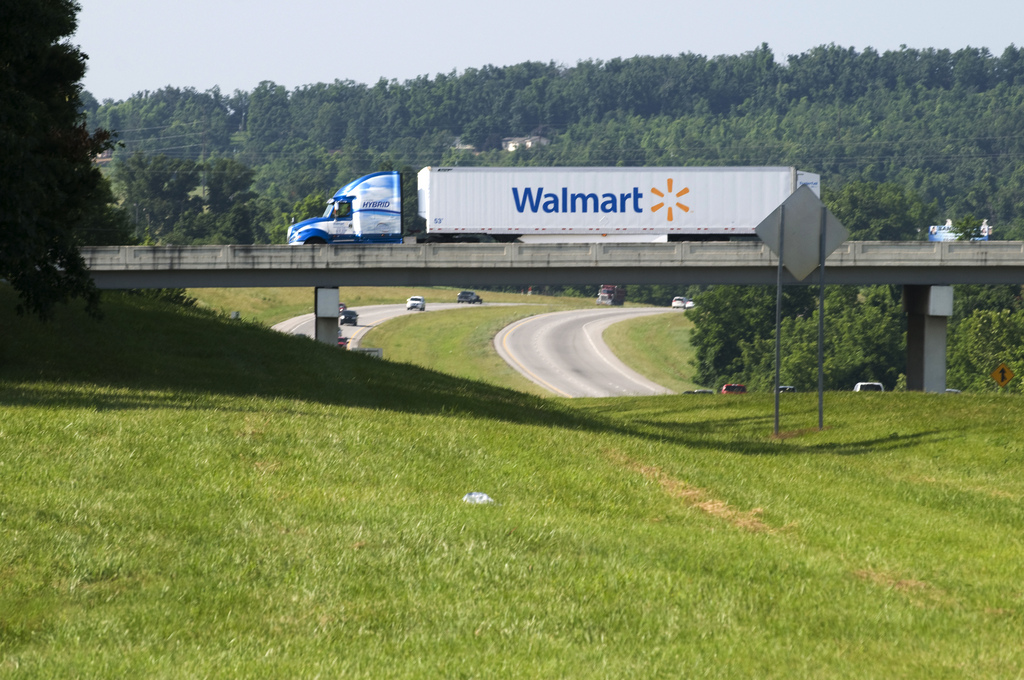 Paradox of Subsidy: Could Biofuel subsidies be increasing CO2 emissions?