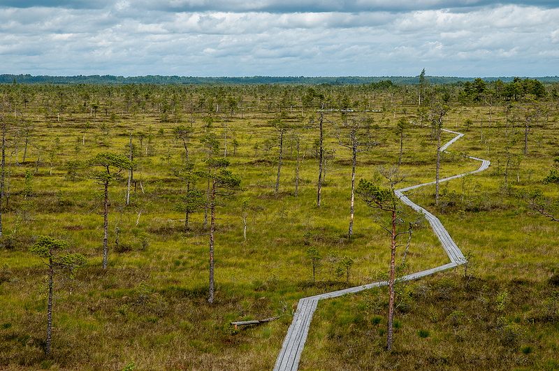 Conservation Development: Residential planning with an environmentalist’s eye