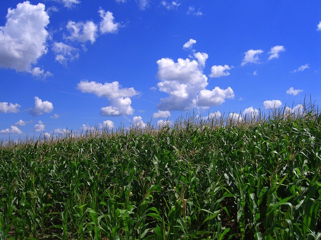 Food for Thought: Quantifying agricultural intensification using indicator crops