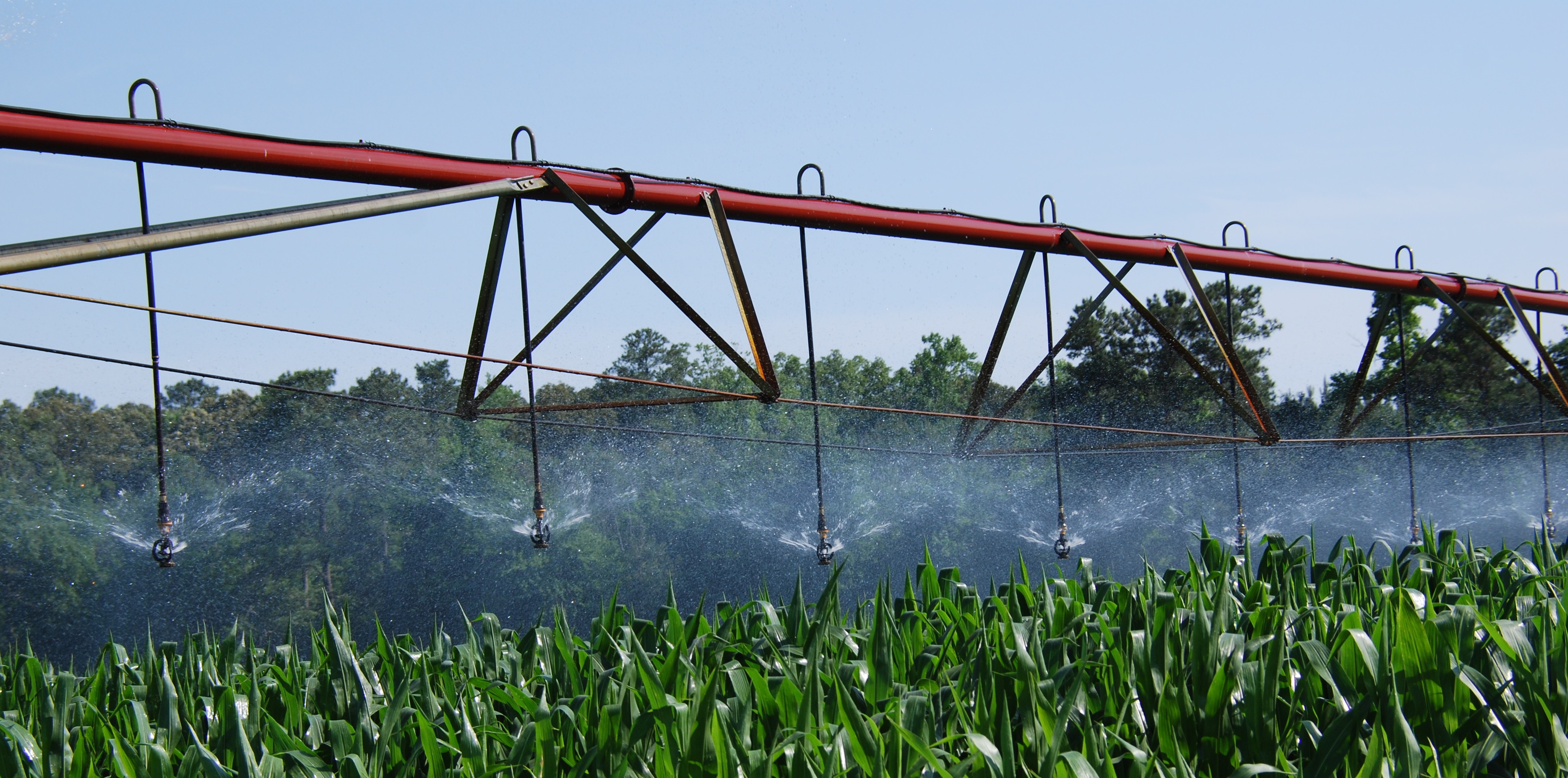 The Unintended Consequences of Subsidized Irrigation Conservation