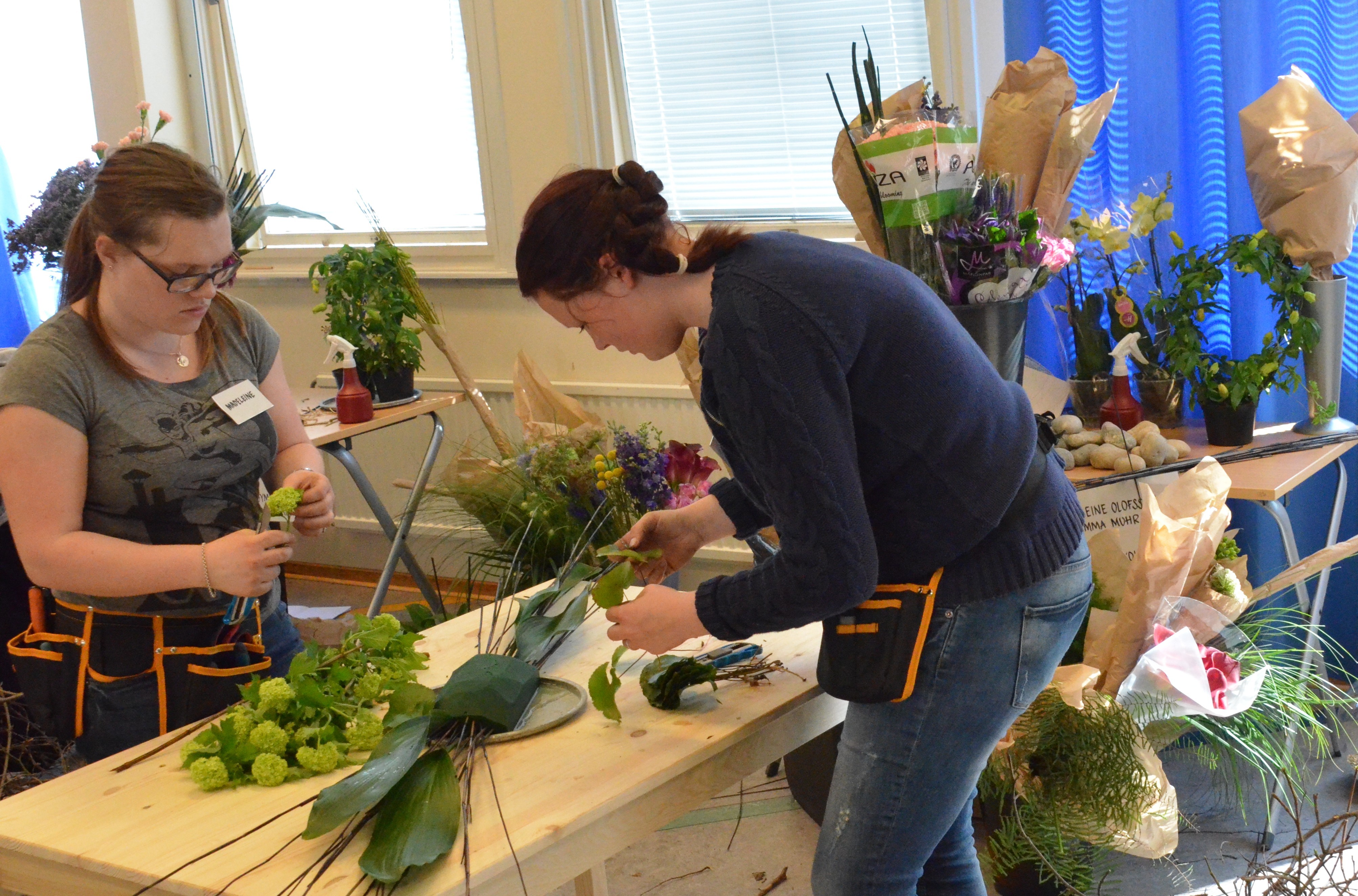 Occupational Licenses: Reason for Caution or Celebration?