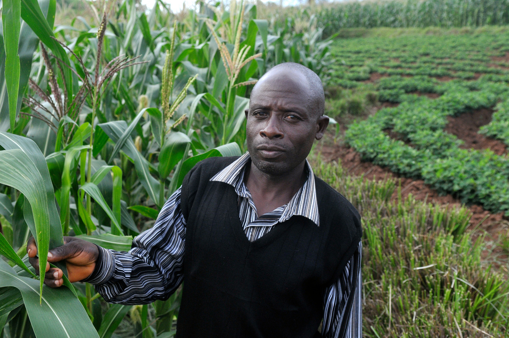 Creating Jobs to End War