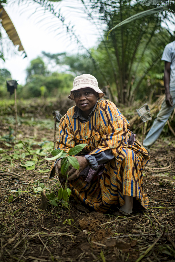 Are Improved Nutritional Outcomes and a Robust Agricultural Sector Mutually Exclusive? Case Study Findings from the Developing World