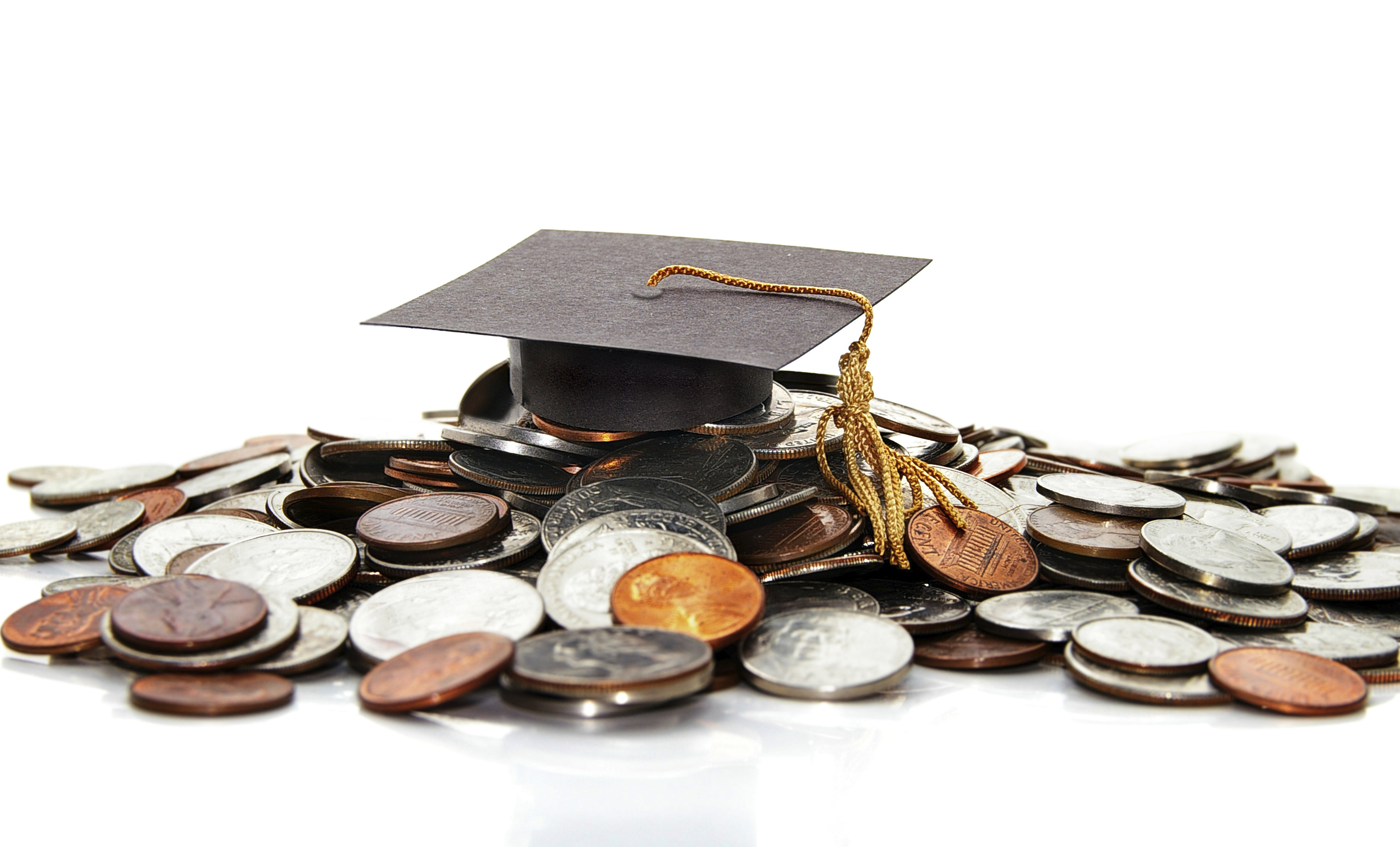 The Impact of College Grant Aid Programs on Borrowing