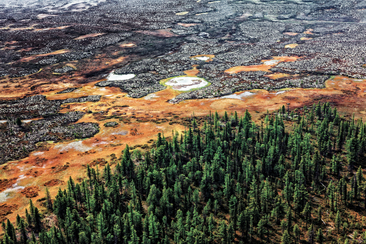 Permafrost Thaw and Backwards Arctic Incentives Could Add Trillions to Climate Costs