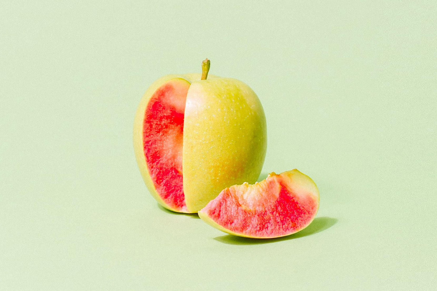 SNAP Purchasing Power and Child Health Care Utilization: Estimating a Causal Relationship