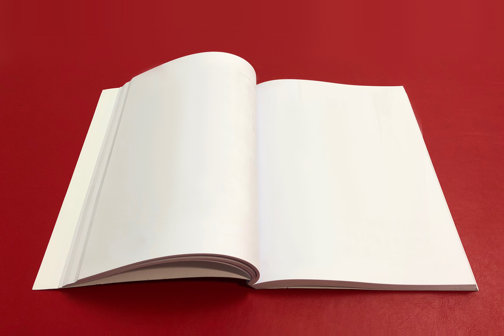 A Call to Simplify and Broaden Expungement Laws