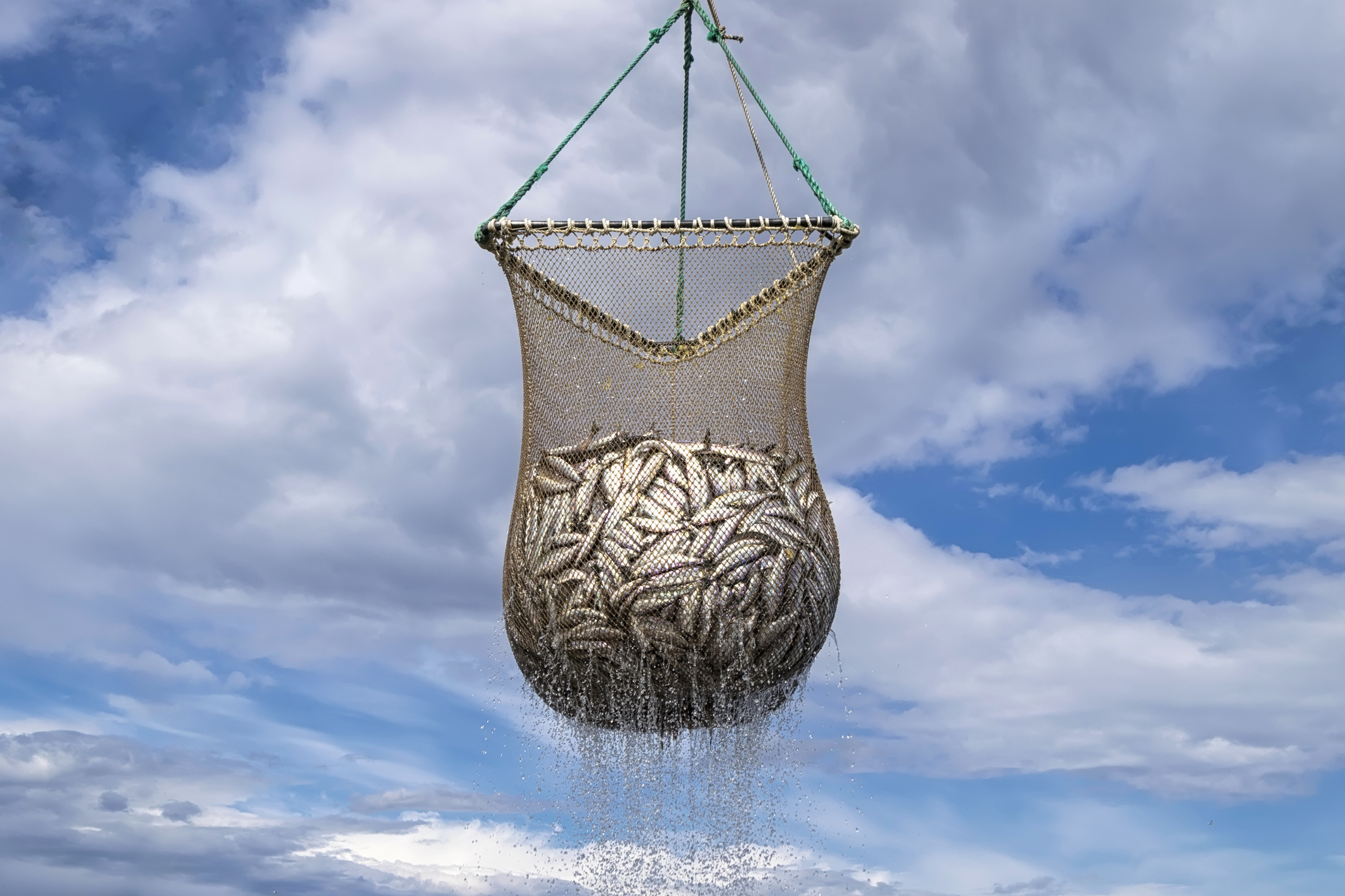 WTO Negotiations Could Soon End Exploitative Fishing Subsidies