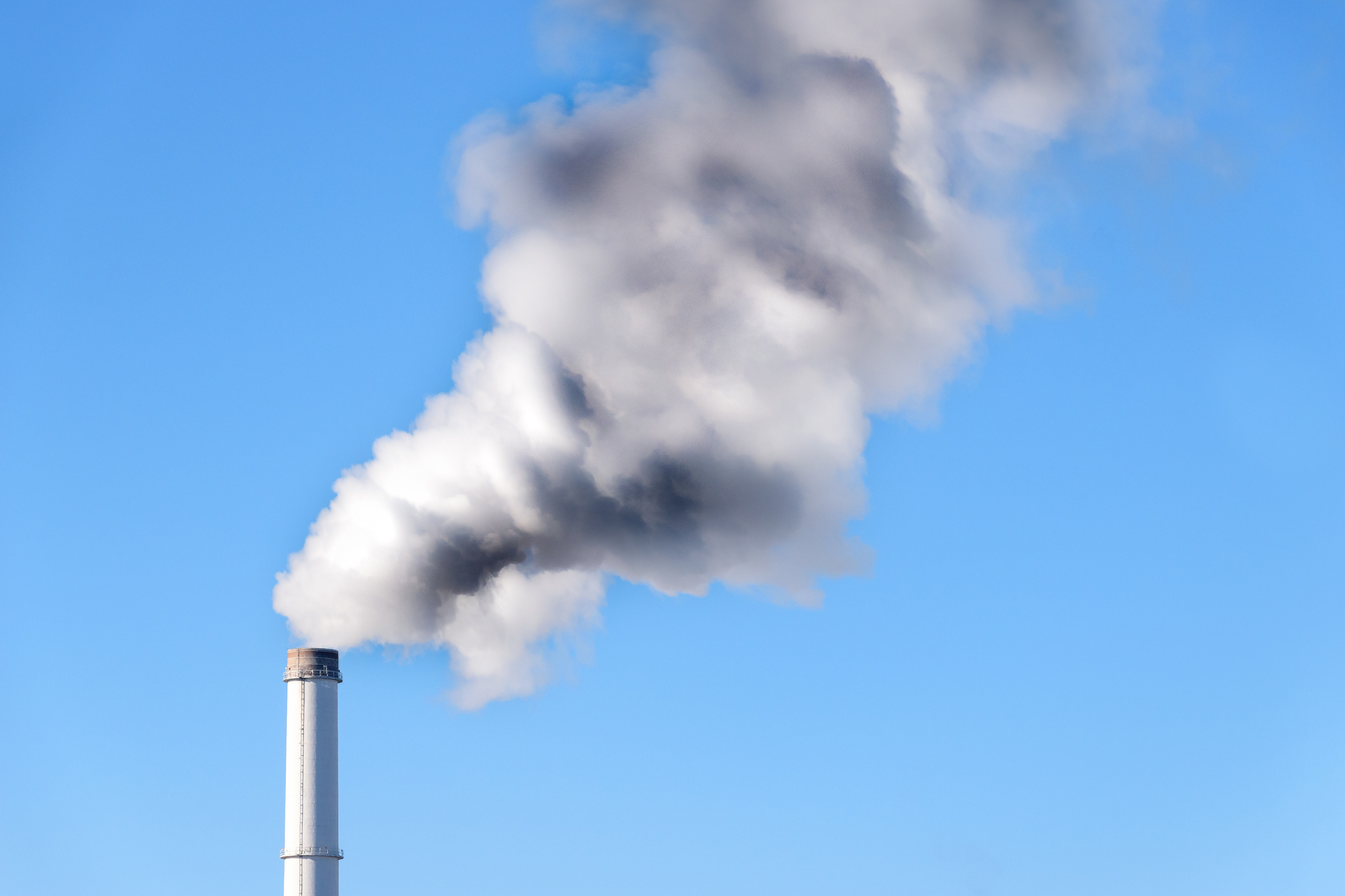 Labor, Business, and the Political Barriers to Climate Action