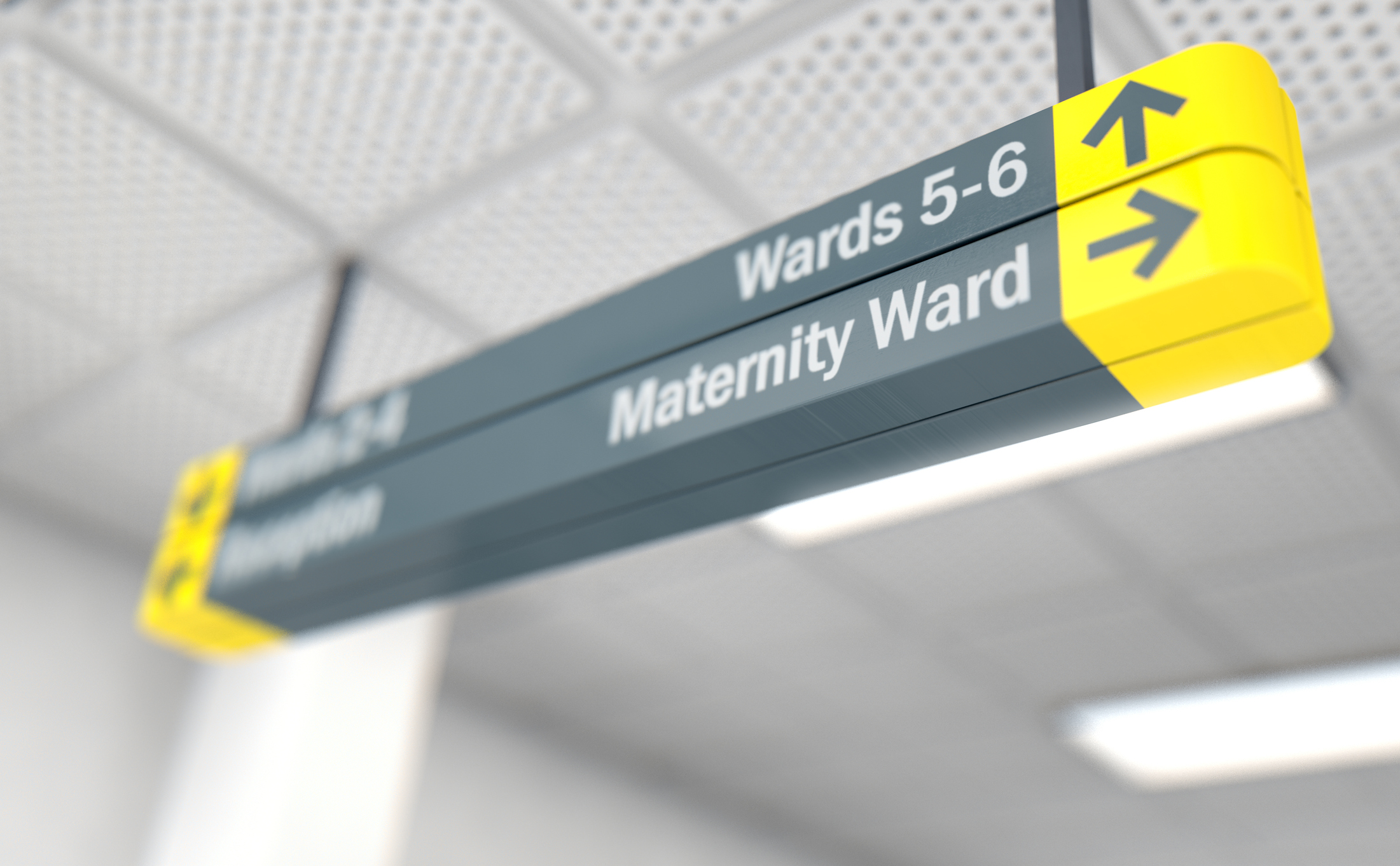 Black Maternal Mortality Rates in Chicago: Why the Recently Passed IL 1115 Waiver Is Not Enough