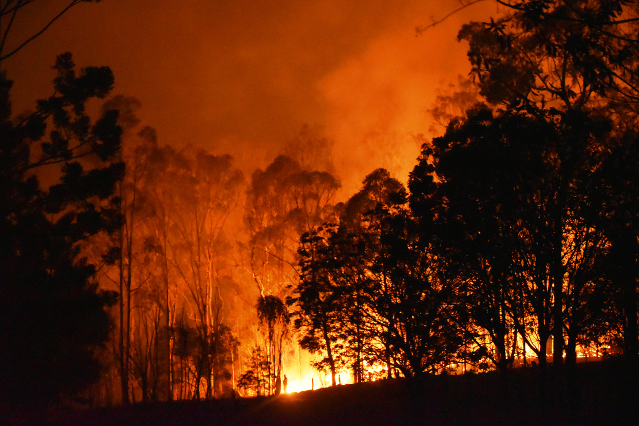 Climate Change is Disproportionally Affecting Mental Health in Developing Countries