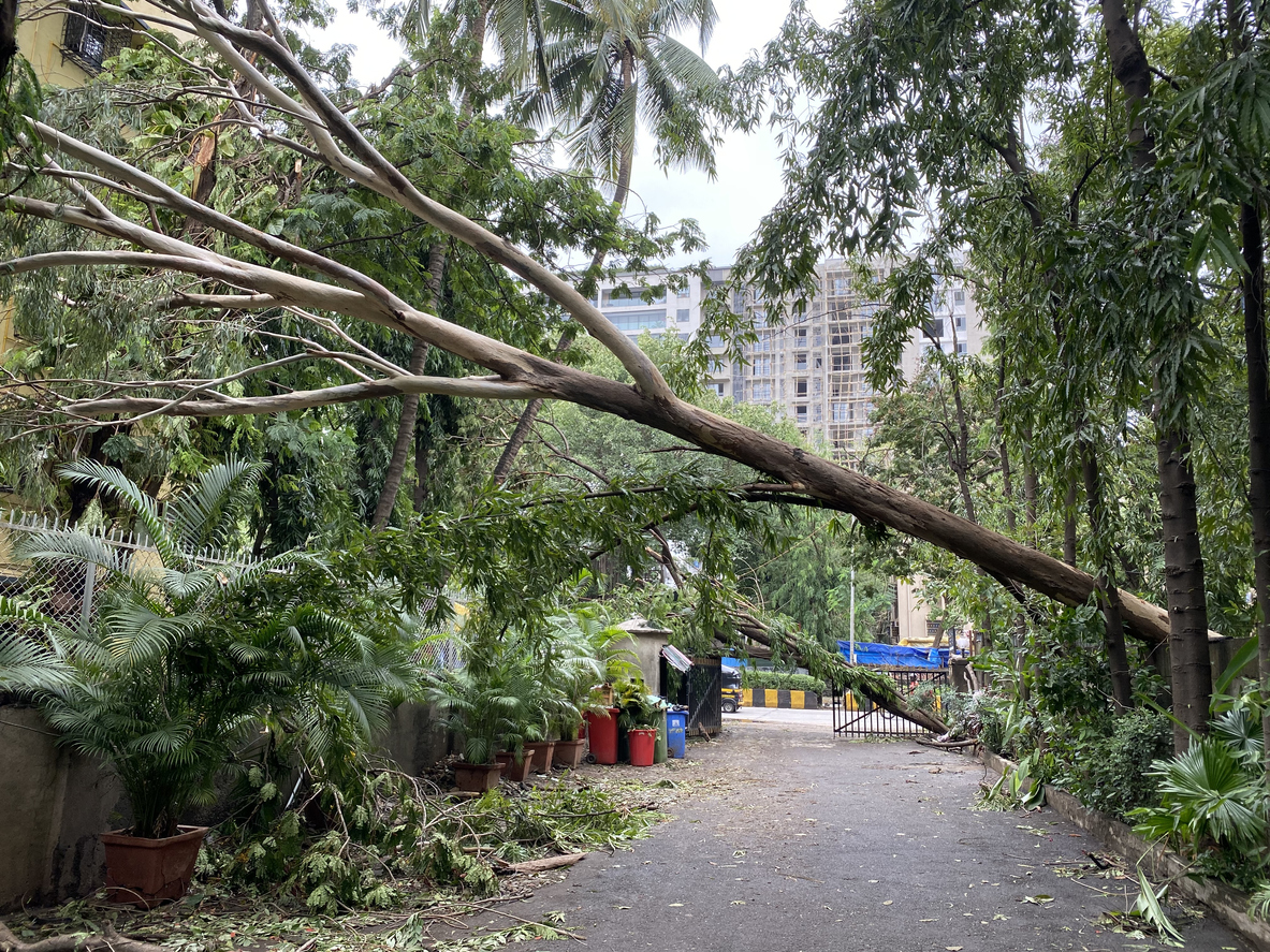 Effective Recovery as a Path for Progressive Development