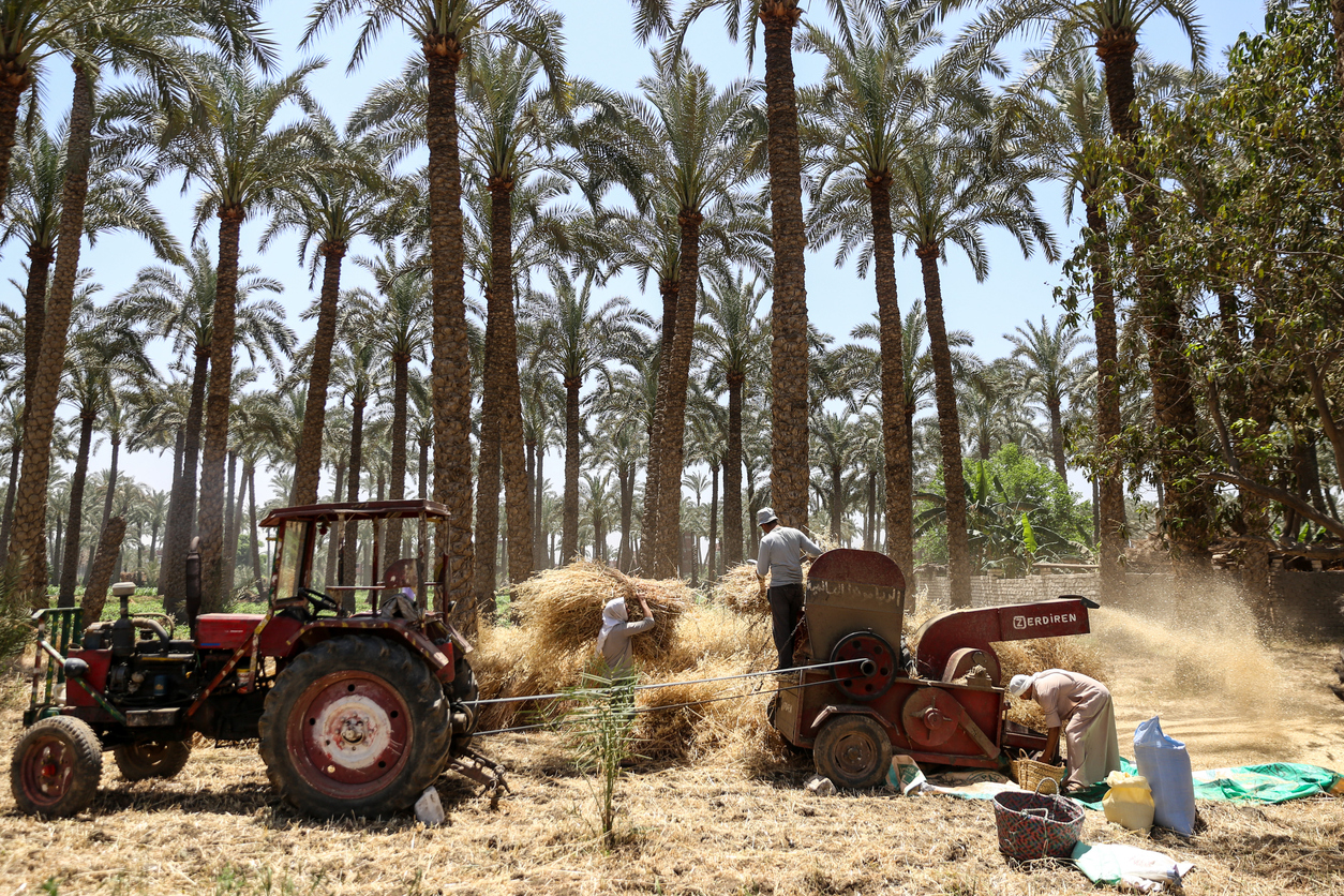 The Future of Food Aid: Looking at the Egypt Case